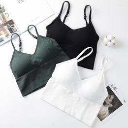 Bustiers & Corsets Sports Underwear U-shaped Elastic Bra Tube Top Women Bralette Crop Candy Colors Soft Comfortable Fashion Ladies Street