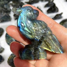 Decorative Figurines Natural Flash Labradorite Crystal Gemstones Carved Parrot Figurine Craft Indie Room Decor Stone Product China Supplier