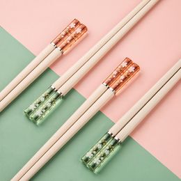 Chopsticks 5 Pairs Fibreglass - Reusable Dishwasher Safe Modern Design Fashionable Colour