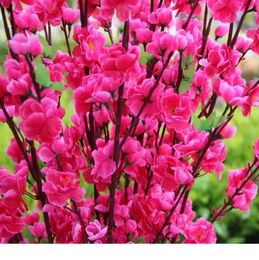 Artificial Cherry Spring Plum Peach Blossom Rama de seda Árbol de flores de seda para la decoración de la fiesta de bodas rojo amarillo rosa 5 color