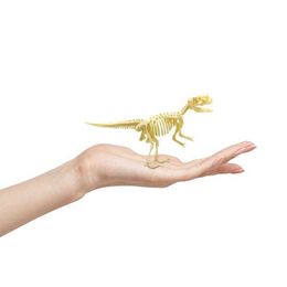 Science Discovery 7 Pieces Dinosaur 3D Puzzle 7 Pieces Hands Craft 3D Dinosaur Puzzle Simulation Dinosaur Skeletons Dinosaur Bone Toys For Adults Y2303