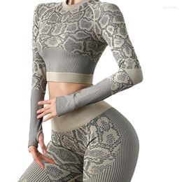 Active Sets Seamless Yoga Suit Women Crop Top Workout Leggings Leopard Print Training Fitness Clothe Tracksuit Sportswear Gym Set