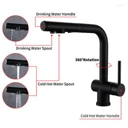 Kitchen Faucets Pull Out Filtered Faucet Dual Sprayer Drinking Water Tap Vessel Sink 3-way Philtre Mixer Brushed Black Fashion Design