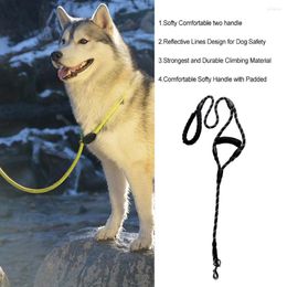 Dog Collars Pet Leash Nylon Reflective Adjustable Training Rope Portable Outdoor Running Traction Bungee Strap Small Large Medium