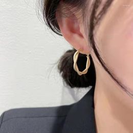 Hoop Earrings Simple Twist For Women South Korean Fashion Luxury Matte Gold Temperament Jewellery