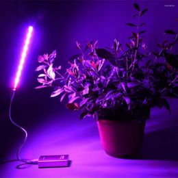 Grow Lights DC5V LED Plant Growing Lamp Bulb 14LEDs USB Portable Full Spectrum Phyto Growth Light For Succulent