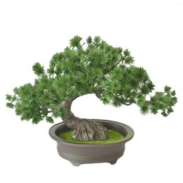Decorative Flowers Yard Potted Welcoming Pine Simulation Plants Desktop Display Home Decor Office Plastic Gift Artificial Bonsai Tree Easy
