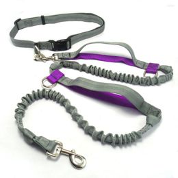 Dog Collars Hands Free Leash With Adjustable Waist BelExtra Long Bungees 2 Handles D-rings For Running Jogging