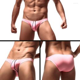 Underpants See Through Briefs Sexy Mens Underwear Bikini Breathable Men Low Waist Panties Hombre Cuecas Lingerie Slip