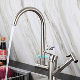 Kitchen Faucets Faucet With Spray 304 Stainless Steel Rinse Brushed Cold Tap Torneira Gourmet De Cozinha