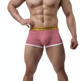 Underpants Fashion Sexy Underwear Men's Boxer Modal Striped Soft Male Boxers Black Red Blue Fringe Breathable