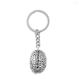 Keychains DoreenBeads 3D Keychain & Keyring Key Chains Anatomical Human Cerebrum Brain Silver Color 8.7cm(3 3/8") 1 Piece