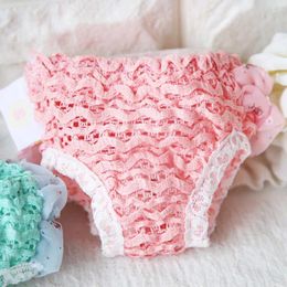 Dog Apparel Panties Strap Sanitary Adjustable Lace Underwear Diapers Physiological Pants Washable Female Brief