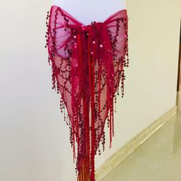 Stage Wear Belly Dance Costume Practice Clothing Triangle Hip Scarf Dancewear Sexy Tassel Sequins Performance