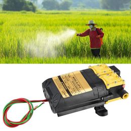 Watering Equipments 12V High Pressure Agricultural Electric Water Pump Sprayer