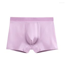 Underpants Combed Cotton High Quality Elastic Panties Solid Colour Comfortable Breathable Men Underwear Simplic Soft Male Boxer Short B7