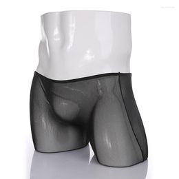 Underpants Black Underwear Men Cueca Boxer Mens Transparent Sexy Male Panties Underpant See-Through Shorts