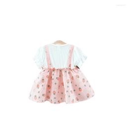 Girl Dresses 2023 -selling 0-3 Year Old Baby Clothes Toddler Girls Pricess Skirts Kids For Children Outfits Pure Cotton