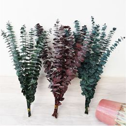 Decorative Flowers Wreaths Eucalyptus Green Red Dark Blue Dried Flowers Round Leaves About 35cm Long Rustic Bedroom Decorations 10pcs/Lot Bouquet 230313