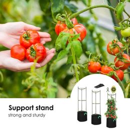 Garden Supplies Other Vegetable Tomato Support Rack Vine Climbing Frame Holder Vertical Plants Cage Trellis Flower Plant Pillar