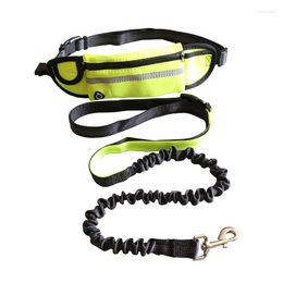 Dog Collars Running Leash Reflective Traction Nylon Rope Elastic Belt Can Put Your Phone And Money Dogs Accessories