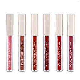 Lip Gloss 6 Colour Set Matte Liquid Lipstick With Plumper Glaze Makeup Waterproof Velvet Cosmetics Relaxing