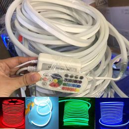 Streifen LED RGB Neon Licht Streifen Wasserdichte IP68 Seil Lampe mit Dimmer Schalter IR 24Key Remote EU/UK/AU/USLED StripsLED
