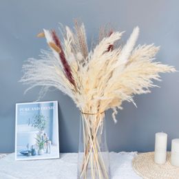 Decorative Flowers Wreaths Natural Pampas Grass Plume Home Decoration Fluffy Reed Plants Wedding Flower Arrangement For Dried Flowers DIY Bohemian Bouquet 230313