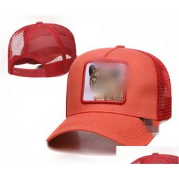 Ball Caps 2023 Top роскошный вышитый вышитый высококачественный бейсбол Men Men Golf Snapback Designer Fashion Women Style Animal Hat H163.1 Dro Dhyka
