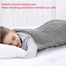 Carpets 220-240V 100W 40 30cm Microplush Electric Heating Pad For Abdomen Waist Back Pain Relief Winter Warmer 3 Heat Controller EU PlugCarp