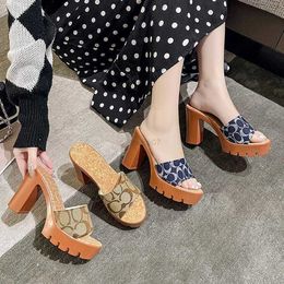 Slippers Designer Sandals High Heels Fashion Good Quality Flip-flop Printed Slippers Luxury Women Shoe Y2303