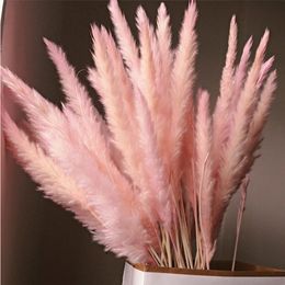 Decorative Flowers Wreaths 15 Pcs Dried Small Pampas Grass Phragmites Communis Decoration for Home el Wedding WXV Sale 230313