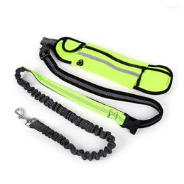 Dog Collars Hands Free Leash Outdoor Reflective Safety Running Pet Leads Belt With Pouch Bags Elastic Jogging Walking Dogs Leashes