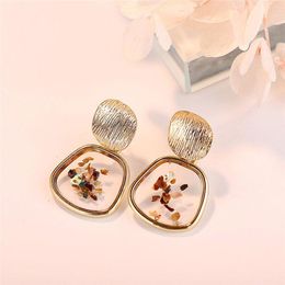 Dangle Earrings Acrylic Tortoise Korean 2023 For Women Resin Round Drop Earring Brincos Geometric Fashion Jewelry