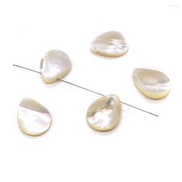 Pendant Necklaces Natural Seawater Shell Horizontal Hole Teardrop Shaped Beads 15x20mm Ladies Jewelry DIY Fashion Necklace Earrings