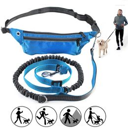 Dog Collars Hands Free Dogs Leash For Running Walking Waist Pocket Pet Training Waterproof Belt Adjustable Leashes