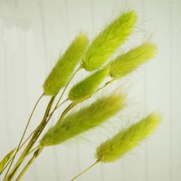 Decorative Flowers 50pcs/Bunch Pastoral Style Natural Tail Grass Tails Dried Bouquets Plant Stems Material Home Decor