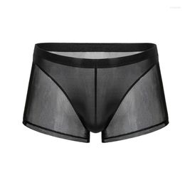 Underpants Underwear Men Boxers Super Soft And Comfortable Ice Silk Sheer Transparent Mesh Men's Boxer Shorts Sexy Exotic