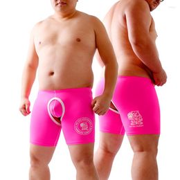 Underpants Arrivals 1 Set 2 Pcs Bear Sexy Underwear Claw Expose Buttocks Crotch Boxers & G-strings T-back Pink M L XL XXL