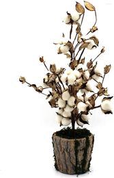 Decorative Flowers Rustic Cotton Pod Tree With Autumn Leaves Farmhouse Bark Pot Base For Home/Party/Wedding/Festival/Indoor Decoration 22