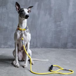 Dog Collars Pet Leash Collar Set Greyhound Whippet Rope Big Outdoor Climbing