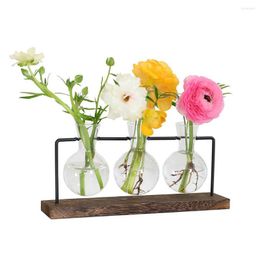 Vases Wooden Frame Desktop Ornament Home Decoration Iron Art Flower Arrangement Hydroponic Vase Plant Pot Glass