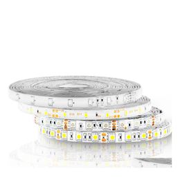 Led Strips 100M 5050 3528 Smd Strip Light Warm Pure Cool White Red Blue Rgb Waterproof Ip65 Nonwaterproof Flexible 300 Leds 12V By D Dhhsk