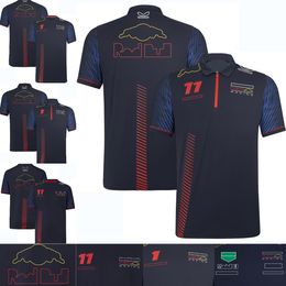 New F1 Racing Team T-shirt Polo Shirt Summer Formula 1 Mens Short Sleeve T-shirts Custom Driver Same Fan T-shirt Quick Dry Top