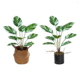 Decorative Flowers Modern Plastic Artificial Arrowroot Bonsai Fake Potted Plants Flower Arrangement Living Room Party Decoration