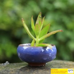 Icecrackle porselen seramik saksı ile delikli ev dekorasyonu mini flowerpot sulu meyveler için etli bitkiler ekici