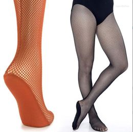 Women Socks Latin Stockings Tights Professional Fishnet Ballroom&Latin Dance Hard Yarn Elastic Pantyhose