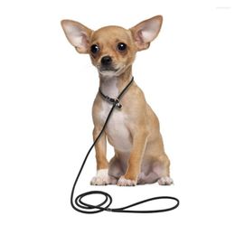 Dog Collars Leather Pet Collar Half P Chain Training Leash Walking Leashes Large Husky Akita