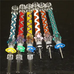 Glass Pipes Smoking NC Set with 10mm Titanium Tip or Quartz Tips Oil Rig Concentrate Dab Straw for Glass Bong NC