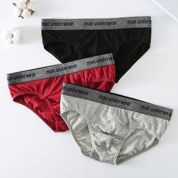 Underpants EUR Size Men's Underwear Cotton U Convex Pouch Sexy Mid Waist Mens Briefs Slip Comfortable Breathable Male Panties